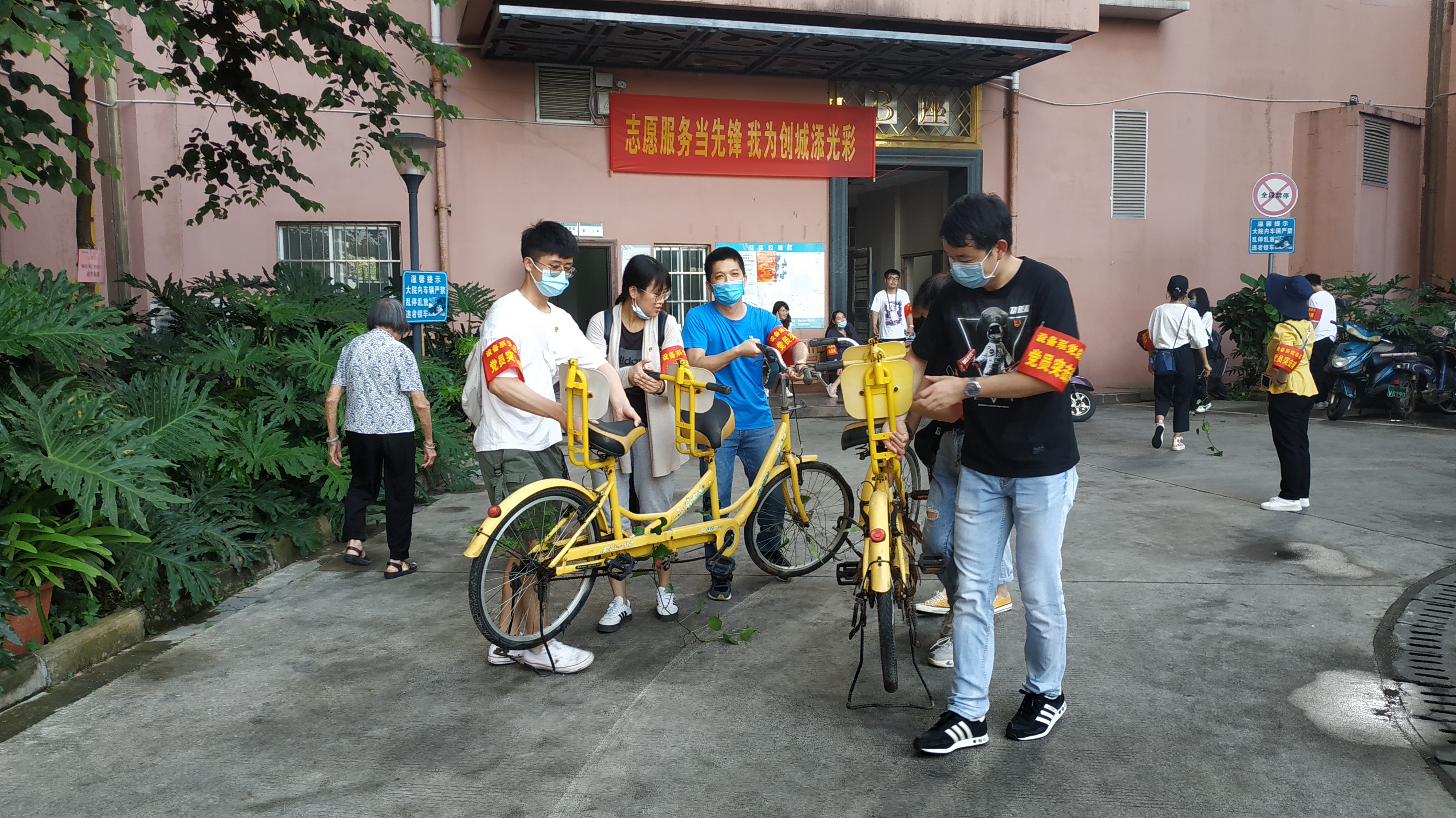 建筑设备与环境工程系党总支党员正在清理废旧单车